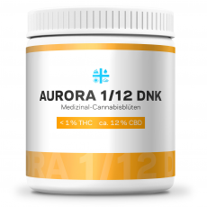 Aurora 1_12 DNK (1)