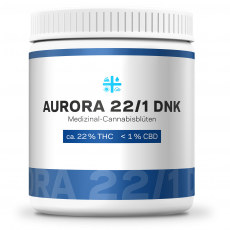 Aurora 22_1 DNK